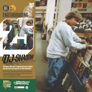 Dj Shadow ‎– Endtroducing – 25