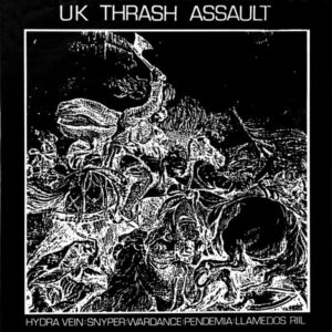 Various ‎– UK Thrash Assault