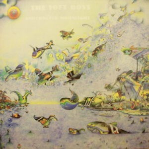 The Soft Boys ‎– Underwater Moonlight (Used Vinyl)