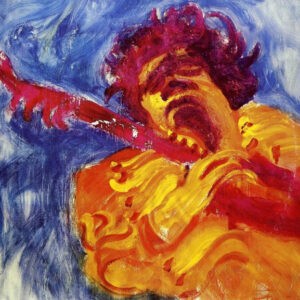 Jimi Hendrix ‎– The Jimi Hendrix Concerts (Used Vinyl)
