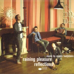 Raining Pleasure ‎– Reflections