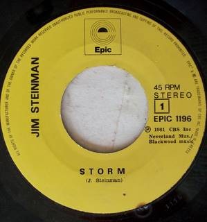 Jim Steinman ‎– The Storm / Rock And Roll Dreams Come Through (Used Vinyl)