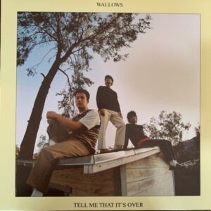 Wallows ‎– Tell Me That It's Over