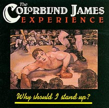 The Colorblind James Experience ‎– Why Should I Stand Up? (Used Vinyl)