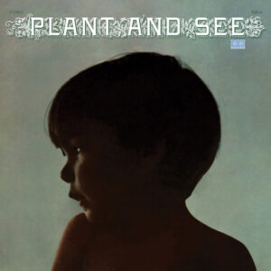 Plant And See ‎– Plant And See (Used Vinyl)