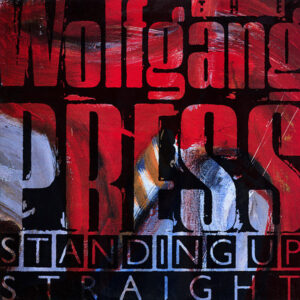 The Wolfgang Press ‎– Standing Up Straight (Used Vinyl)