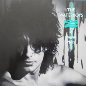 Τhe Waterboys ‎– A Pagan Place (Used Vinyl)