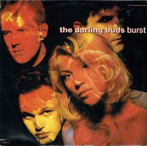 The Darling Buds ‎– Burst (Used Vinyl) (12")
