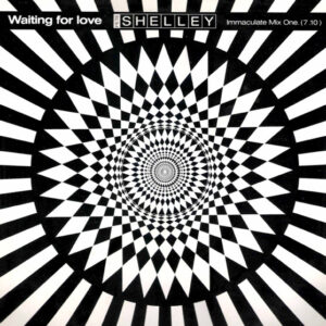 Pete Shelley ‎– Waiting For Love