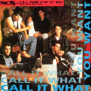 NKOTB ‎– Call It What You Want (Used Vinyl) (12")