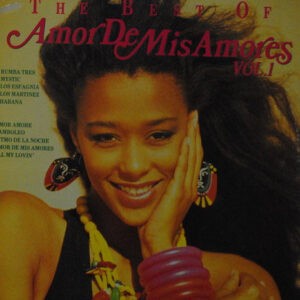 Various ‎– The Best Of Amor Des Mis Amores Vol.1 (Used Vinyl)