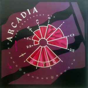Arcadia – Election Day (The Consensus Mix) (Used Vinyl) (12'')
