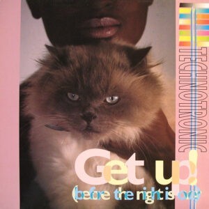 Technotronic ‎– Get Up! (Before The Night Is Over) (Used Vinyl) (12'')