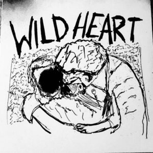 Current Joys ‎– Wild Heart