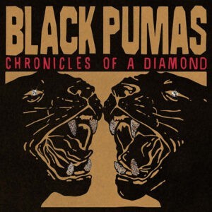Black Pumas ‎– Chronicles Of A Diamond (Clear)