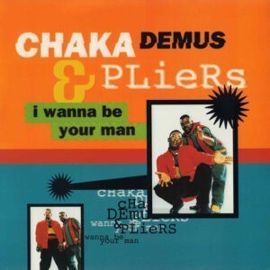 Chaka Demus & Pliers ‎– I Wanna Be Your Man (Used Vinyl) (12'')