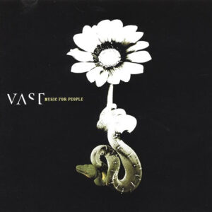 VAST ‎– Music For People (Used CD)