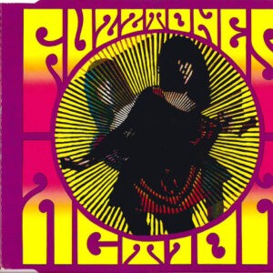 Fuzztones ‎– Action (Used CD)