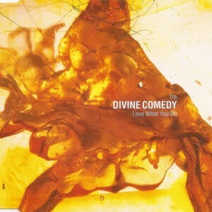 The Divine Comedy ‎– Love What You Do (Used CD)