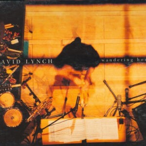 David Lynch – Wandering Home (Used CD)