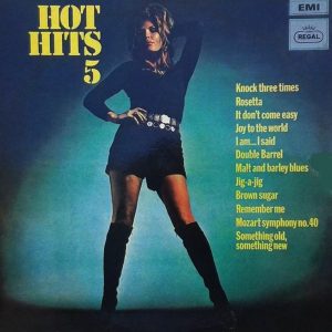 Unknown Artist ‎– Hot Hits 5 (Used Vinyl)