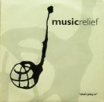 Music Relief '94 ‎– What's Going On (Used Vinyl) (12'')