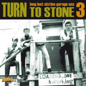 Various ‎– Turn To Stone 3 (Long Lost Sixties Garage USA)