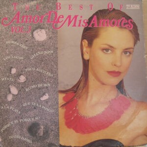 Various ‎– The Best Of Amor Des Mis Amores Vol.3 (Used Vinyl)